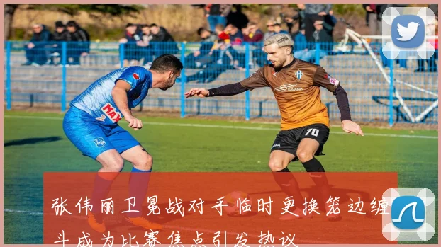 张伟丽卫冕战对手临时更换笼边缠斗成为比赛焦点引发热议
